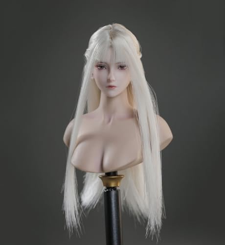 1/6 Skala Weibliche Kopf-Skulptur,Schönheit Anime Mädchen Lange Gepflanzt Haar Kopf Geschnitzt für 12inch Weiblich PH TBL VC JO Action Figur Körper (A) von Fremego