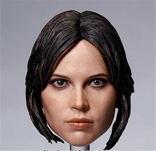 1/6 Skala Weiblicher Kopf Sculpt, Europäisches Mädchen Head Sculpt Kopf Geschnitzt für 12inch Weibliche Action Figur Körper Sammlung (D) von Fremego