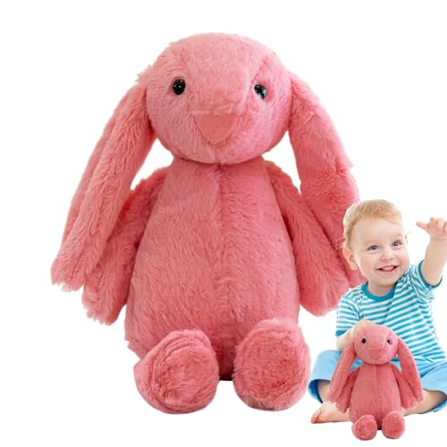 Fruusv Plush Bunny Stuffed Animal for Kids | Cute Easter Bunny Plush Toy for | Soft Bunny Rabbit Doll for Boys and Girls Cute Plush Bunny Stuffed Animal | Soft Easter Bunny Plush Toy for Boys and Gi von Fruusv