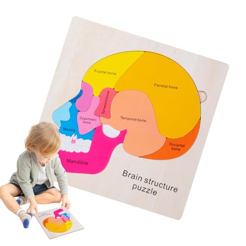 Fukamou Anatomie-Spielzeug Für Kinder, Anatomie-Struktur-kognitives Puzzle | Mehrschichtiges Kognitives Puzzlespielzeug Aus Für -Den Menschlichen Körper | Pädagogisches, Multifunktionales, von Fukamou