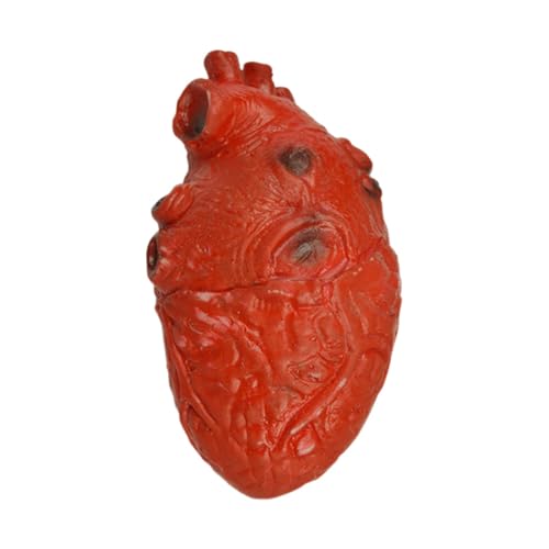 Herzblut, Blut zur Unterstützung des Herzens – gruselige Halloween-Accessoires, das das Herz schlägt, falsches Herz, Dekoration für Spukhaus Herzblut, Blut zur Unterstützung des Herzens – gruselige Halloween-Accessoires, das das Herz schlägt, falsches Herz, Dekoration für Spukhaus von Fulenyi