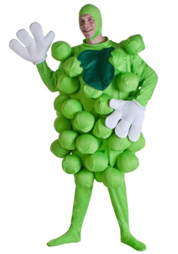 Green Grapes Fancy Dress Costume Standard von Fun Costumes