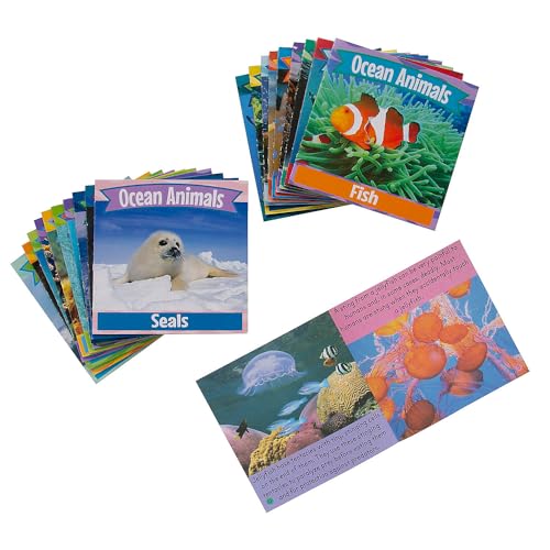 Fun Express Ocean Animal Readers – 20 Stück, Urlaubs-Bibelschule 2024 von Fun Express