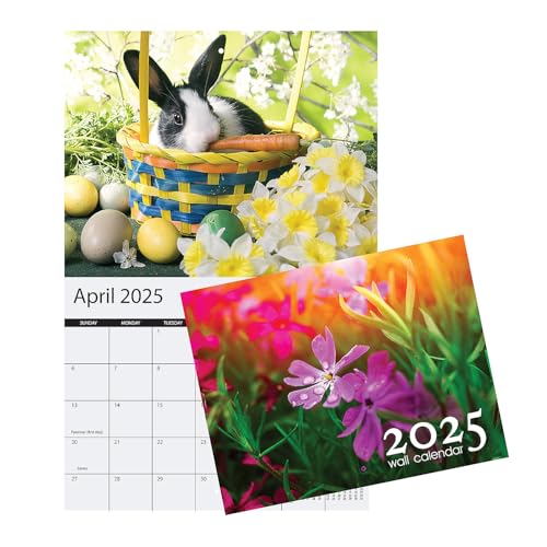 Fun Express Wandkalender 2025, 26 x 21 cm, 13 Monate mit bunten Bildern von Fun Express