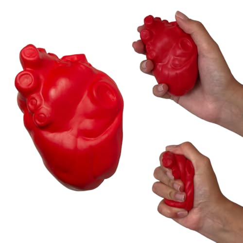 Anatomical Heart Stress Ball von Fun Funny