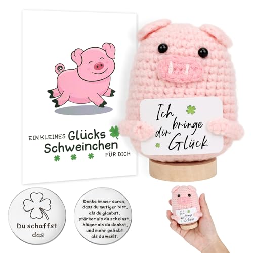 GADITIEK Glücksbringer Glücksschweinchen, Du Schaffst Das Glücksbringer Schule Prüfung und Ermutigungskarten, Strickwolle Pocket Hug Glücksschwein Krankheit Krebs Frau Gute Besserung Geschenke von GADITIEK