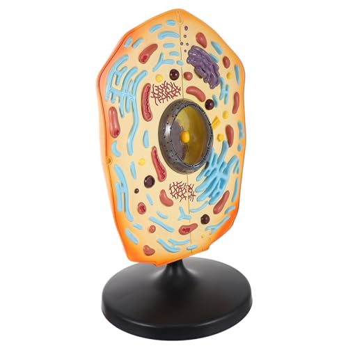 GALPADA Anatomisches Tierzellmodell aus Detailreiches Biologie Lehrmittel Einfach Bedienbar für Schüler Lehrer und Laboreinsatz Praktisches Display Modell für Unterricht und GALPADA Anatomisches Tierzellmodell aus Detailreiches Biologie Lehrmittel Einfach Bedienbar für Schüler Lehrer und Laboreinsatz Praktisches Display Modell für Unterricht und von GALPADA