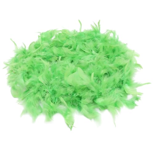 GALPADA Boa-zubehör Kostüm Trimmen Heiße Boa Partyboa Kronleuchter Halloween-Aufkleber DIY-boa Boas Verkleiden Putenboa Frauen Boa Boas Für Party Boa Für Frauen Light Green Feder von GALPADA