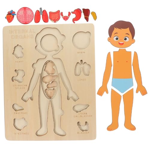 GALPADA Holzpuzzle Körperteile Lernspielzeug Montessori Anatomie Spiel für Jungen Mädchen Frühe Bildung Organe Erkennen Vorschule GALPADA Holzpuzzle Körperteile Lernspielzeug Montessori Anatomie Spiel für Jungen Mädchen Frühe Bildung Organe Erkennen Vorschule von GALPADA