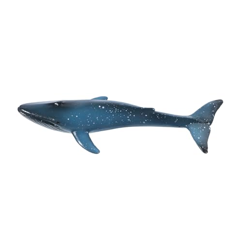 GALPADA Realistisches Blauwal Modell Kleines Walfigur Kognitives Meerestier Lernspielzeug für Aquarium Dekoration Simulation GALPADA Realistisches Blauwal Modell Kleines Walfigur Kognitives Meerestier Lernspielzeug für Aquarium Dekoration Simulation von GALPADA