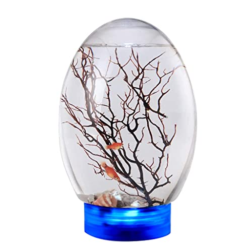 GAOINTELL Geschlossenes Aquatisches Ökosystem Mit Drehbarer Basis Fisch Für Aquarium Geschenk Für Kinder Geschlossenes Aquarium Mit LED Basis Kugel Aquarium von GAOINTELL