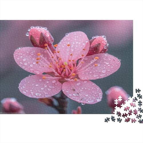 Cherry Blossom 1000 Stück Puzzles Für Erwachsene Teenager EIN Herausforderndes Rätsel Für Erwachsene Und Kinder Ab 12 Jahren 1000pcs (75x50cm) von GAOYUCHUN