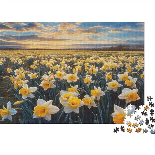 Field of Daffodils 1000 Teile Puzzle Für Erwachsene Geschicklichkeitsspiel Für Die Ganze Familie Für Erwachsene Und Kinder Ab 12 Jahren 1000pcs (75x50cm) von GAOYUCHUN