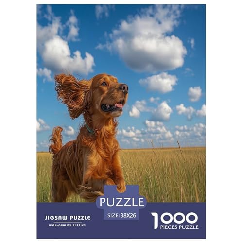 Irischer Setter Puzzle 1000 Teile Schwer Puzzle Spielzeug Pädagogisches Spiel Impossible Herausforderungsspielzeug Für Erwachsene Kinder 38x26cm/1000pcs Irischer Setter Puzzle 1000 Teile Schwer Puzzle Spielzeug Pädagogisches Spiel Impossible Herausforderungsspielzeug Für Erwachsene Kinder 38x26cm/1000pcs von GAOYUCHUN