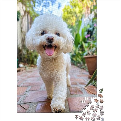 Maltese 1000 Teile Puzzles Lernspiel Spielzeug Geschenk Puzzle 1000 Teile Puzzles Heim Dekoration Stressabbau-Spielzeug Für Erwachsene Und Kinder Ab 12 Jahren 1000pcs (75x50cm) von GAOYUCHUN