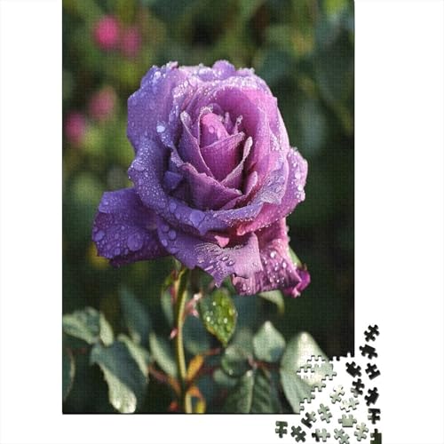 Purple Color Rose Puzzle 1000 Teile Für Erwachsene Puzzles Geschicklichkeitsspiel Für Die Ganze Familie Puzzle Für Erwachsene Und Kinder Ab 14 Jahren 1000pcs (75x50cm) von GAOYUCHUN