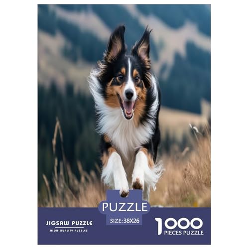 Shetland SchafeHund Puzzles 1000-teilige Schwer Puzzle Spielzeug Lernspiel Impossible Herausforderungsspielzeug Für Erwachsene Und Kinder in Bewährter 38x26cm/1000pcs Shetland SchafeHund Puzzles 1000-teilige Schwer Puzzle Spielzeug Lernspiel Impossible Herausforderungsspielzeug Für Erwachsene Und Kinder in Bewährter 38x26cm/1000pcs von GAOYUCHUN