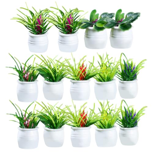 GARIOUANS 14 Stück Teiliges Miniatur Bonsai Topfset Realistische Künstliche Pflanzenmodelle Dekorative Puppenhaus Zimmerpflanzen Glatte Oberfläche Vielseitig für DIY und Wohnraumgestaltung GARIOUANS 14 Stück Teiliges Miniatur Bonsai Topfset Realistische Künstliche Pflanzenmodelle Dekorative Puppenhaus Zimmerpflanzen Glatte Oberfläche Vielseitig für DIY und Wohnraumgestaltung von GARIOUANS
