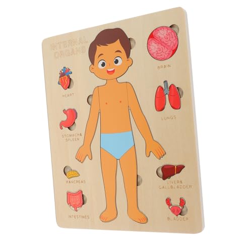 GARIOUANS Holzpuzzle Für Kleinkinder Menschliche Körperorgane Puzzle Langlebiges Holzspielzeug Kognitives Lernspielzeug Lehrmittel Für Vorschulkinder GARIOUANS Holzpuzzle Für Kleinkinder Menschliche Körperorgane Puzzle Langlebiges Holzspielzeug Kognitives Lernspielzeug Lehrmittel Für Vorschulkinder von GARIOUANS
