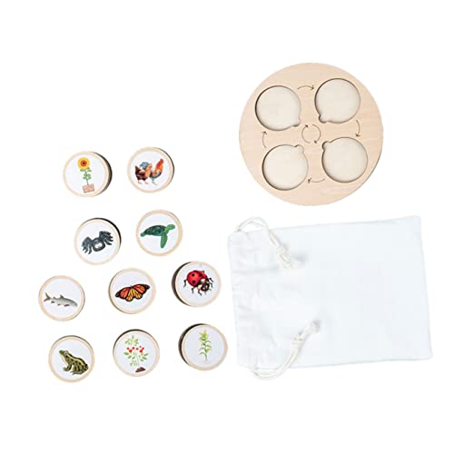 GARIOUANS Lebenszyklus Puzzle mit Holz Tierwachstumsfiguren Pädagogisches Lernmodell für Zeigt Entwicklungsstadien von Nutztieren Fördert Vorstellungskraft und Wissenserweiterung GARIOUANS Lebenszyklus Puzzle mit Holz Tierwachstumsfiguren Pädagogisches Lernmodell für Zeigt Entwicklungsstadien von Nutztieren Fördert Vorstellungskraft und Wissenserweiterung von GARIOUANS