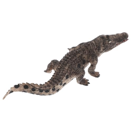 GARIOUANS Realistisches Alligator Modell mit Beweglichem Pädagogisches Tierfiguren für Fördert Beobachtung und Koordination Vielseitig für Rollenspiel und Lernzwecke GARIOUANS Realistisches Alligator Modell mit Beweglichem Pädagogisches Tierfiguren für Fördert Beobachtung und Koordination Vielseitig für Rollenspiel und Lernzwecke von GARIOUANS