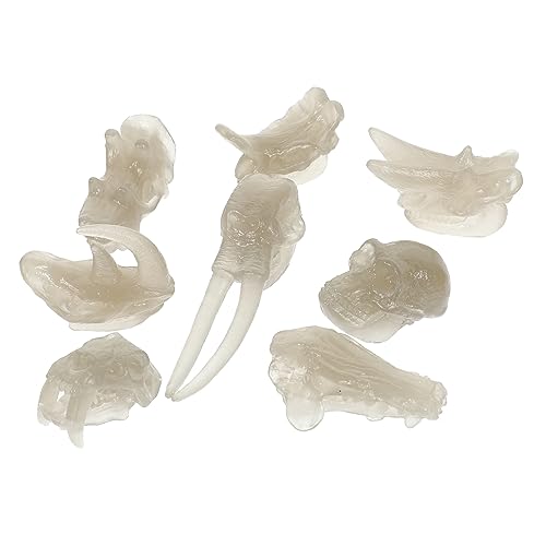 GARVALON 1 Set PVC Dinosaurierschädel, Fossiles Spielzeug Für Kinder, Dinosaurierschädel, Spielzeug, Dinosaurierschädelmodelle, 3D Dinosaurier, Lernspielzeug Für Kinder, von GARVALON