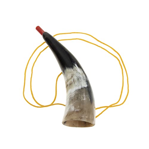 GARVALON Blasshorn 2st Stierhorn Der Kinderhorn Blowouts Krachmacher Wikingerkrieg Bläst Horn Kindertrompete Kinder Trompete Spielzeug Sportspiel Jubelhorn -horninstrument Hörner Wickingerhorn von GARVALON