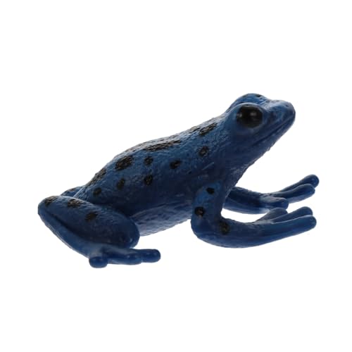 GARVALON Froschmodell Tierdekoration Lernbedarf Simulation Tierornamente Lernspielzeug Tiermodell Spielzeuganzeigemodelle Minimodell Kinderspielzeug Simulationsmodell Tierspielzeugmodell von GARVALON