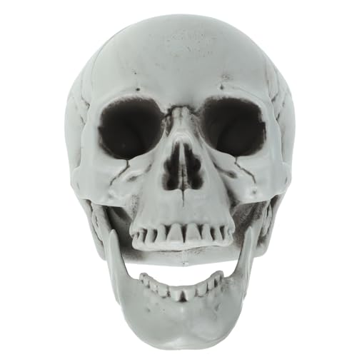 GARVALON Halloween Deko Skull Set Künstliche Schädel Für Gruselige Geisterhaus Dekoration Perfekte Halloween Requisiten Für Partys Und Veranstaltungen von GARVALON