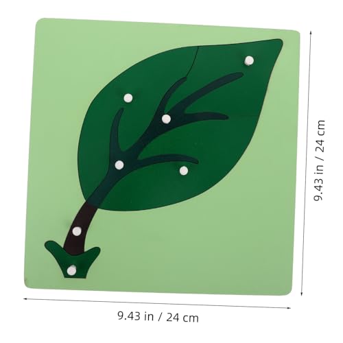 GARVALON Montessori Pflanzen Lernspielzeug für Frühe Bildung Feinmotorik Beobachtung Logisches Kleinkinder Vorschule Montessori Materialien GARVALON Montessori Pflanzen Lernspielzeug für Frühe Bildung Feinmotorik Beobachtung Logisches Kleinkinder Vorschule Montessori Materialien von GARVALON