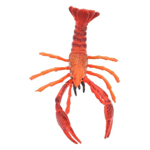 GARVALON Lobster Modell Dekoration Realistisches Hummer Modell Für Lernspielzeug Künstliche Krustentiere Ideal Für Partys Geburtstagsgeschenke Und Als Aquarium Deko von GARVALON