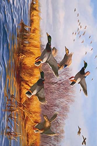 1000 Pieces Ducks Unlimited, Duck Hunting Puzzle Adult Decompression Children's Fun Puzzle Fashion Creative Gift75*50cm von GDFWB