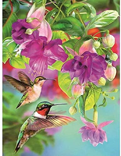 500 Piece Jigsaw Puzzle for Adults Hummingbird Stakes Wooden52*38cmD8T38K von GDFWB
