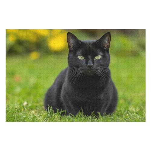 Black Cat Puzzle, Lustige Aktivität Für Die Ganze Familie, Langlebiger Karton, 1000 Teile, 1000 PCS-50 * 75cm von GDFWB