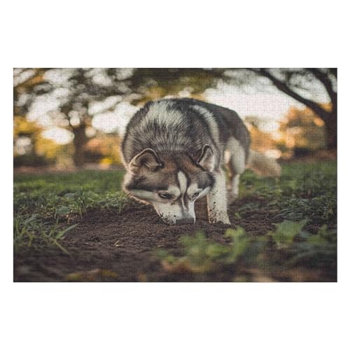 Dog Husky 500-teiliges Puzzle Für Erwachsene, Umweltfreundlich, Schwierig, Fordert Geduld Und Intelligenz Heraus Und Durchbricht Sich Selbst 500 PCS 52 * 38cm von GDFWB