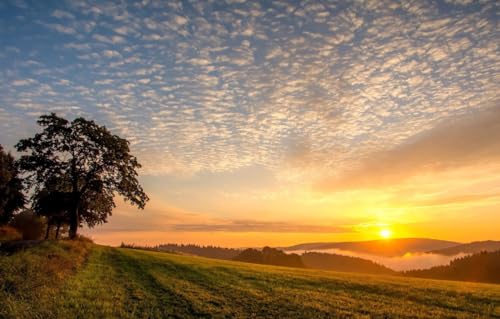 Naturlandschaft-Puzzle, 1000 Teile, Lernspielzeug für Erwachsene und Kinder, interaktive Familienspiele, 75 * 50cmD8T251K von GDFWB