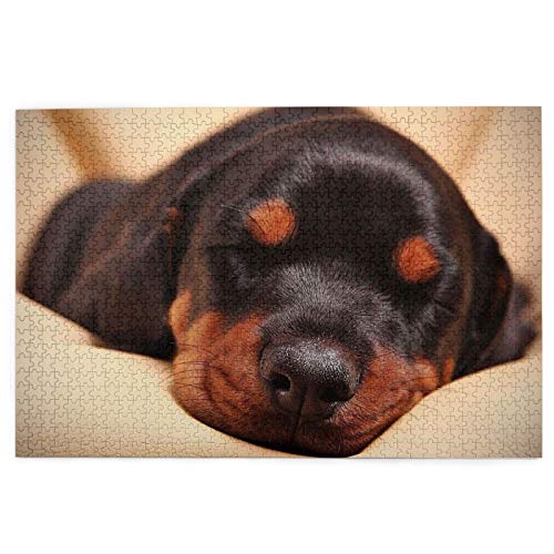 Puzzle 1000 Teile, Dobermann-Welpe, schlafende Hunde, Haustiere, Hunde, Dobermann, Holzpuzzle, Spielzeug, Familienspiel, Wanddekoration für Erwachsene und Teenager, 75 x 50 cm von GDFWB