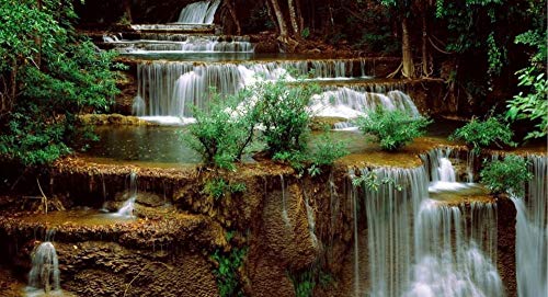 Puzzle 1000 Teile für Erwachsene, Wald, Wasserfall, Naturlandschaft, geeignet für Erwachsene, 75 x 50 cm von GDFWB