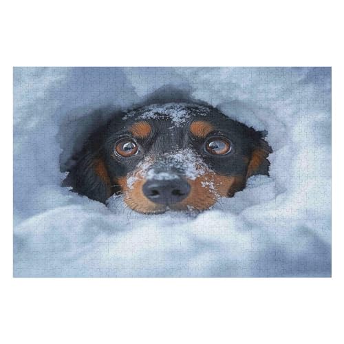 Puzzle Dachshund 2000 Teile, Puzzle Für Erwachsene, Kinder, Jungen, Mädchen, Jugendliche 2000 PCS 70 * 100cm von GDFWB