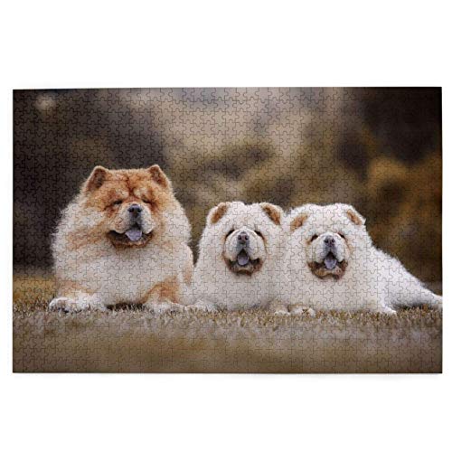 Puzzles 1000 Teile Chow-Chow-Familie Kleine Flauschige Welpen Kleines Puzzlespielzeug Familienspiel Wanddekoration für Erwachsene Teenager 75 * 50cmD8T123K von GDFWB