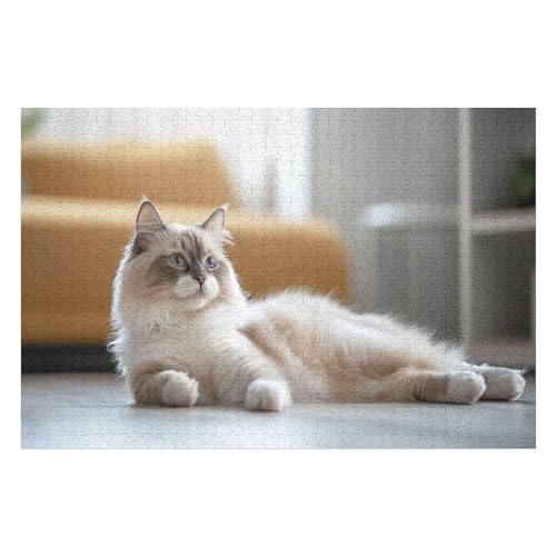 Rätsel Für Erwachsene, Cat Ragdoll Cat Anspruchsvolles Puzzle, Heimdekor-Geschenk, 1000 Teile 1000 PCS 75 * 50cm von GDFWB