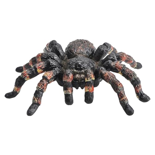 GEBBEM Realistische Spinnenfigur – Künstliche Spinne Halloween-Dekoration | Spinnentiermodell, realistisches Spinnen-Lernspielzeug, lebendige Spinnenspielzeugfiguren für die Bildung von GEBBEM