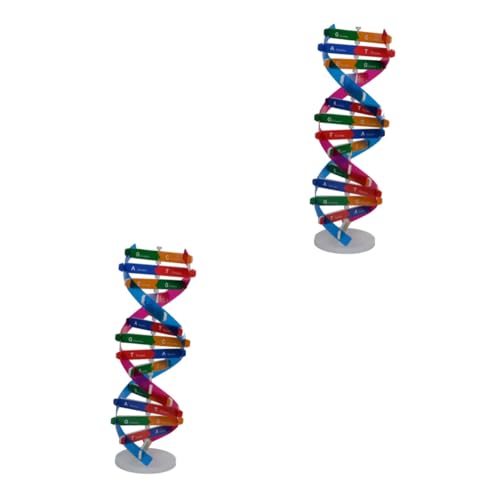 GETAJGHSD 2St wissenschaftliches Spielzeug DNA-Strukturmodell DNA Modellbausatz für Kinder Spielzeug für Kinder Wissenschaft Genmodell DNA-Doppelhelix-Modell Gene Lernwerkzeug von GETAJGHSD