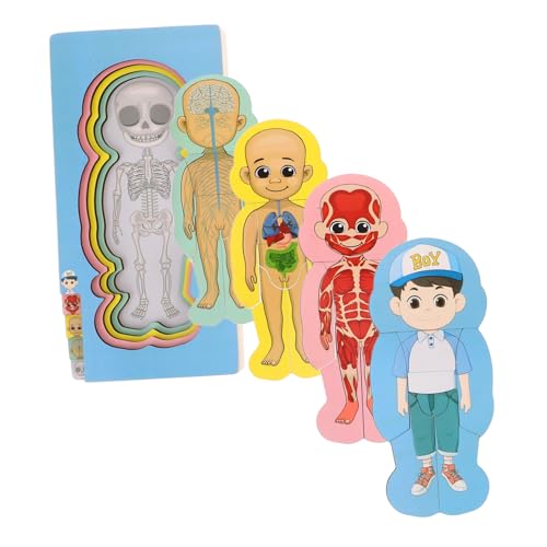 GETAJGHSD Jungen Mädchen Früherziehung Spielzeug Holz Kinder Puzzle Set Anatomie Puzzle Für Kleinkinder von GETAJGHSD