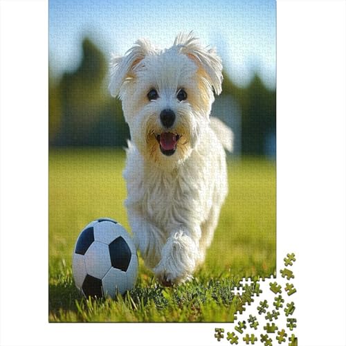 Maltese Hund Puzzle 1000 Teile Erwachsene, Puzzlespiel Jigsaw Puzzles Erwachsenen Puzzlespiel Puzzel 1000pcs (75x50cm) von GGAAUEIXN