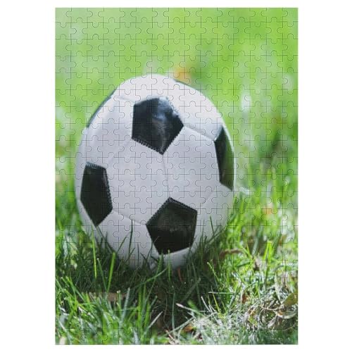 Fußball Holzpuzzle 300 Teile, Knobelspiele Für Erwachsene, Teenager, Puzzles Unmögliche - Kinder Puzzle Zimmer Deko （42×30cm） von GGJJTT