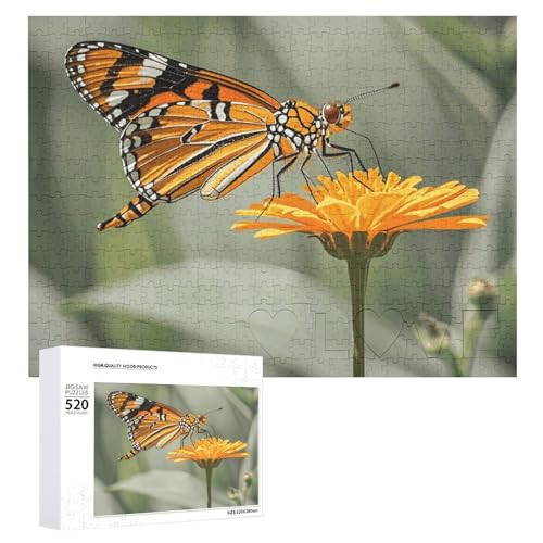 Puzzle für Erwachsene, Sommer, Schmetterling, Libelle, Puzzle mit Buchstaben auf der Rückseite, herausforderndes Spiel, Puzzle, personalisiertes Puzzle, perfekt für Puzzle-Enthusiasten von GHBNK