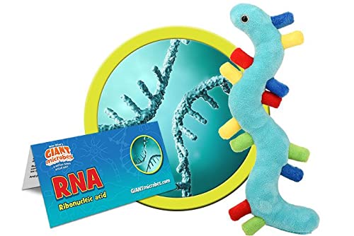 GIANTmicrobes RNA Plüsch - Erfahren Sie mehr über die Welt der Genetik mit diesem pädagogischen Geschenk, realistisches Modell mit Infokarte, für Familie, Freunde, Wissenschaftler, Ärzte, Ahnenfans, von GIANTmicrobes