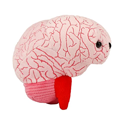 Giant Microbes Gehirn Orgel Plüschtier Original Weichen Körper Pädagogisches Geschenk 16 cm von GIANTmicrobes