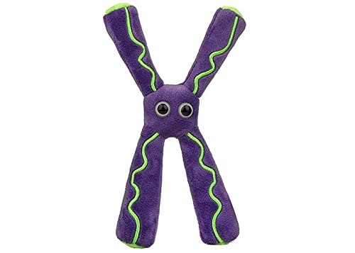 GIANT MICROBES Chromosome-Plüsch – Lernen Sie alles über Genetik und wie Chromosome mit diesem plüschigen pädagogischen Geschenk funktionieren von GIANTmicrobes